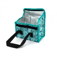 Bolso Térmico Para Colación De Lona