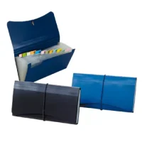 Carpeta Fuelle 12 Division Chequera