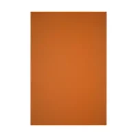 Cartulina Española 160 Gr 50 X 70 25 Unidades Nara
