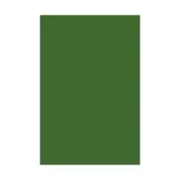 Cartulina Española 160 Gr 50 X 70 25 Un Verde Oscu