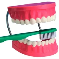 Dentadura + Cepillo