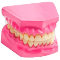 Dentadura