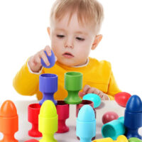 Juego De Clasificación C/Bandeja Montessori(1-20)
