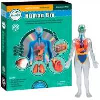 Mi Cuerpo Interactivo