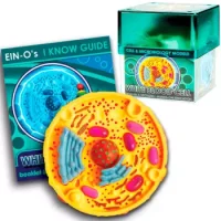 Modelo De Celulas Globulos Blancos