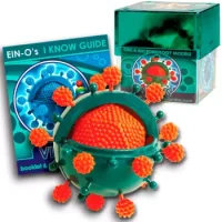Modelo De Celulas Virus