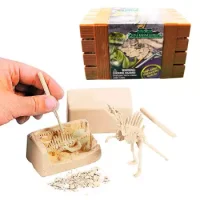 Kit Paleontología Fósil Tiranosaurio