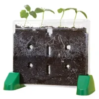 Terrario Translúcido Crecimiento De Las Plantas