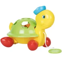 Tortuga De Arrastre