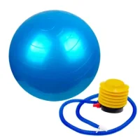 Balón Pilates 65 Cm Con Bombin De Pie