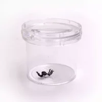 Vaso Lupa