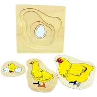 Secuencias Gallina De Madera