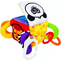 Cubo De Genero Interactivo