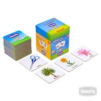 Memorice Plus Fonema R Dactic