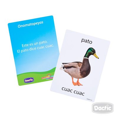 Empezando A Hablar Dactic - Imagen 3