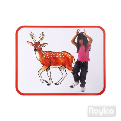 Lámina Postura Animal Roylco - Imagen 3