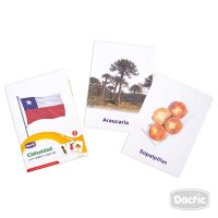 Láminas Chilenidad Dactic