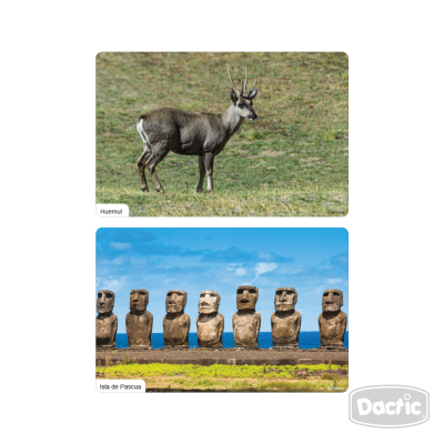 Láminas Nuestro Chile Dactic - Imagen 4
