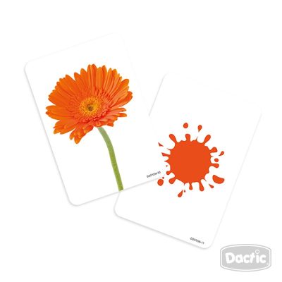 Láminas Objetos Y Colores Dactic - Imagen 2
