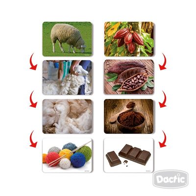 Láminas Procesos Productivos Dactic - Imagen 2